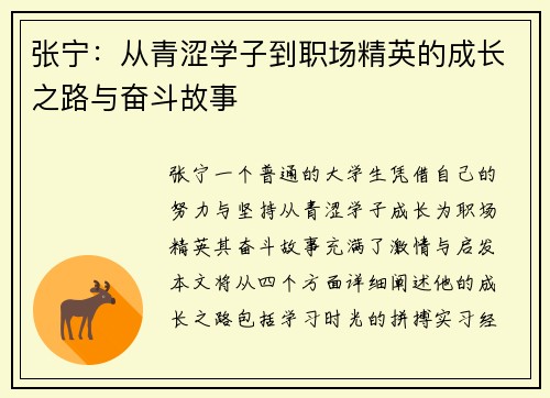 张宁：从青涩学子到职场精英的成长之路与奋斗故事