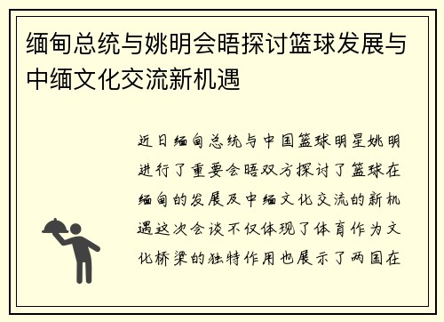 缅甸总统与姚明会晤探讨篮球发展与中缅文化交流新机遇