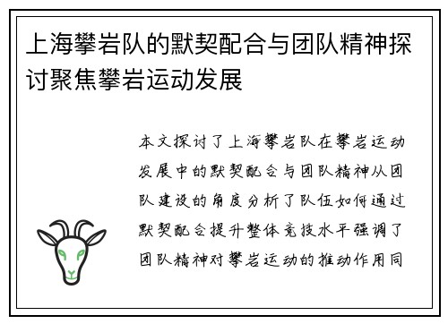 上海攀岩队的默契配合与团队精神探讨聚焦攀岩运动发展